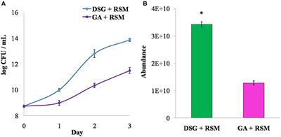 Dual Use of a Biopolymer From Durian (Durio zibethinus) Seed as a Nutrient Source and Stabilizer for Spray Dried Lactobacillus Plantarum